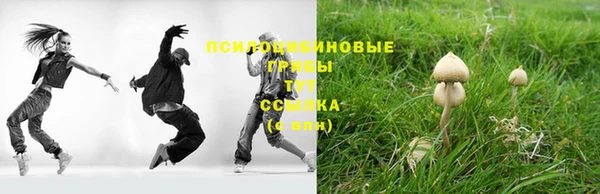 ПСИЛОЦИБИНОВЫЕ ГРИБЫ Бронницы