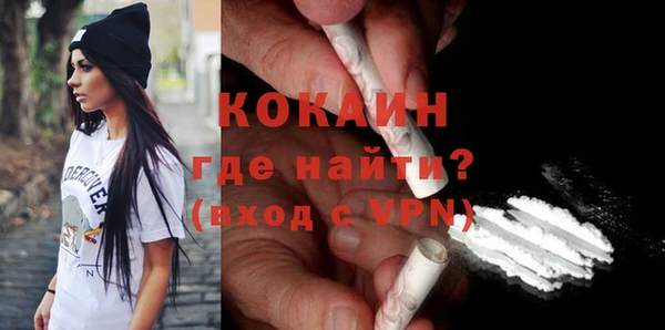 МДПВ Бородино