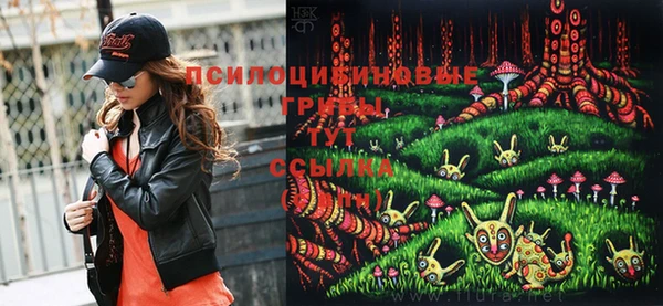 ПСИЛОЦИБИНОВЫЕ ГРИБЫ Бронницы