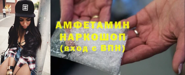 МДПВ Бородино