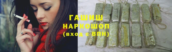 МДПВ Бородино