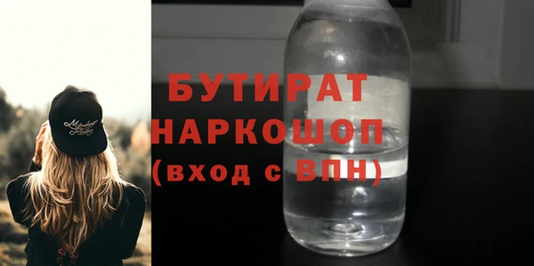 МДПВ Бородино