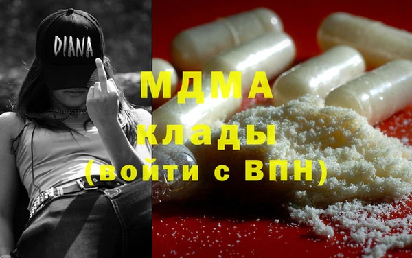 МДПВ Бородино