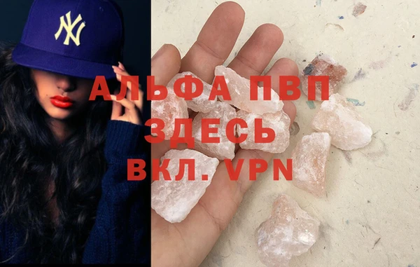 МДПВ Бородино