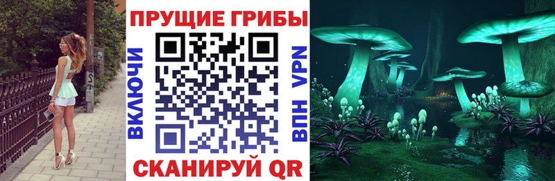 маркетплейс клад  где купить наркотик  Верхний Тагил  Псилоцибиновые грибы MAGIC MUSHROOMS  кракен сайт 